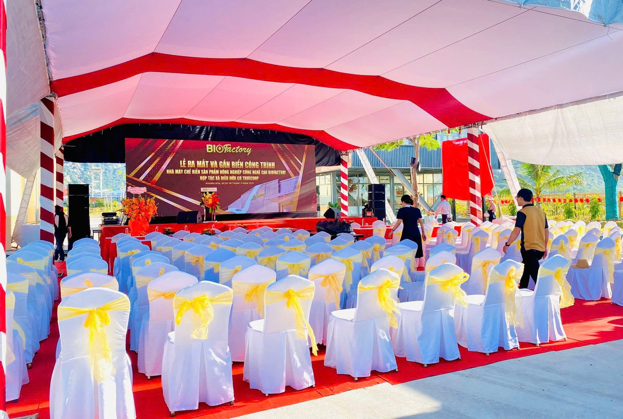 Quy Trình, Kịch Bản, Ý Tưởng Tổ Chức Sự Kiện Ra Mắt Sản Phẩm Chuyên Nghiệp